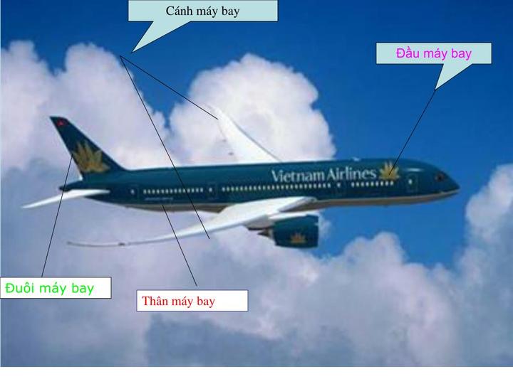 Từ Khuyết Tật Đến Triệu View: Câu Chuyện Cảm Hứng Của Tuấn Anh