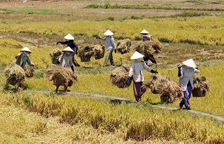 Hotspot Matrix và Mỹ nam Việt đóng liên tiếp 7 phim lỗ nặng, đẹp trai vô đối nhưng sao mà