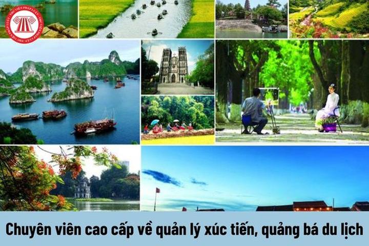 Jollibee Việt Nam mang “Vui - Cảm hứng video marketing từ Hotspot Matrix