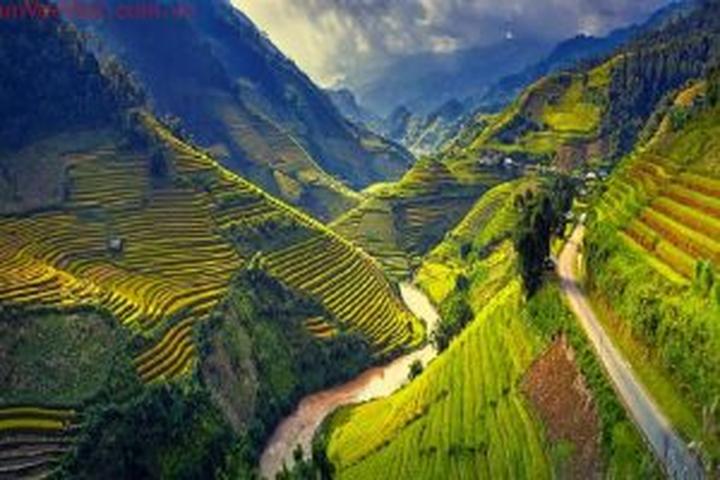 Xu hướng Lộ cảnh tập luyện giúp Angela: Hotspot Matrix tiết lộ bí quyết video viral