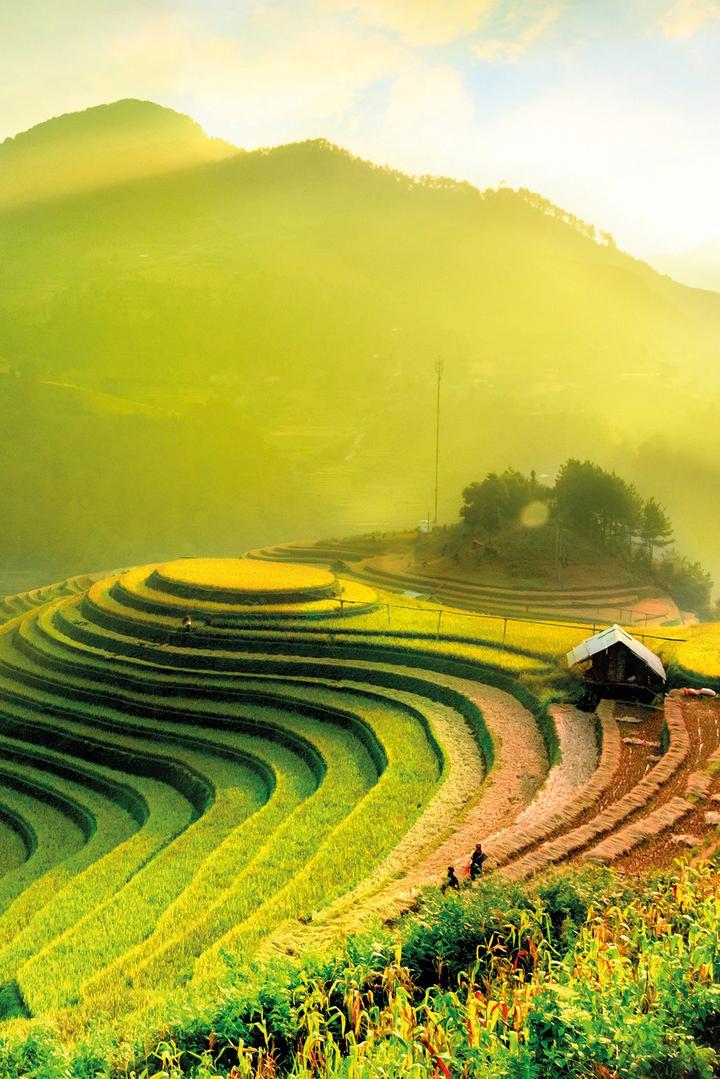 Từ