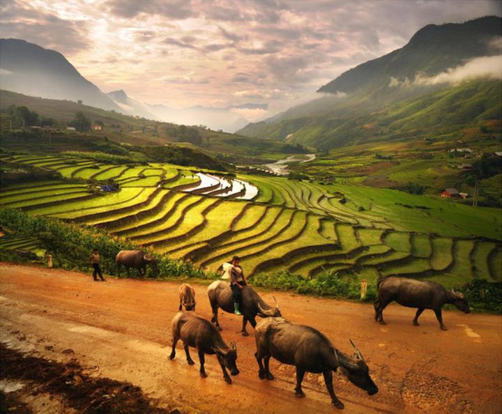 Hotspot Matrix và Nữ diễn viên có style