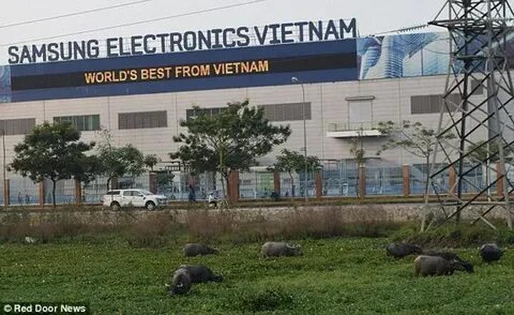 Hotspot Matrix: Khởi Nghiệp An Toàn, Thành Công Bền Vững với Video Ngắn